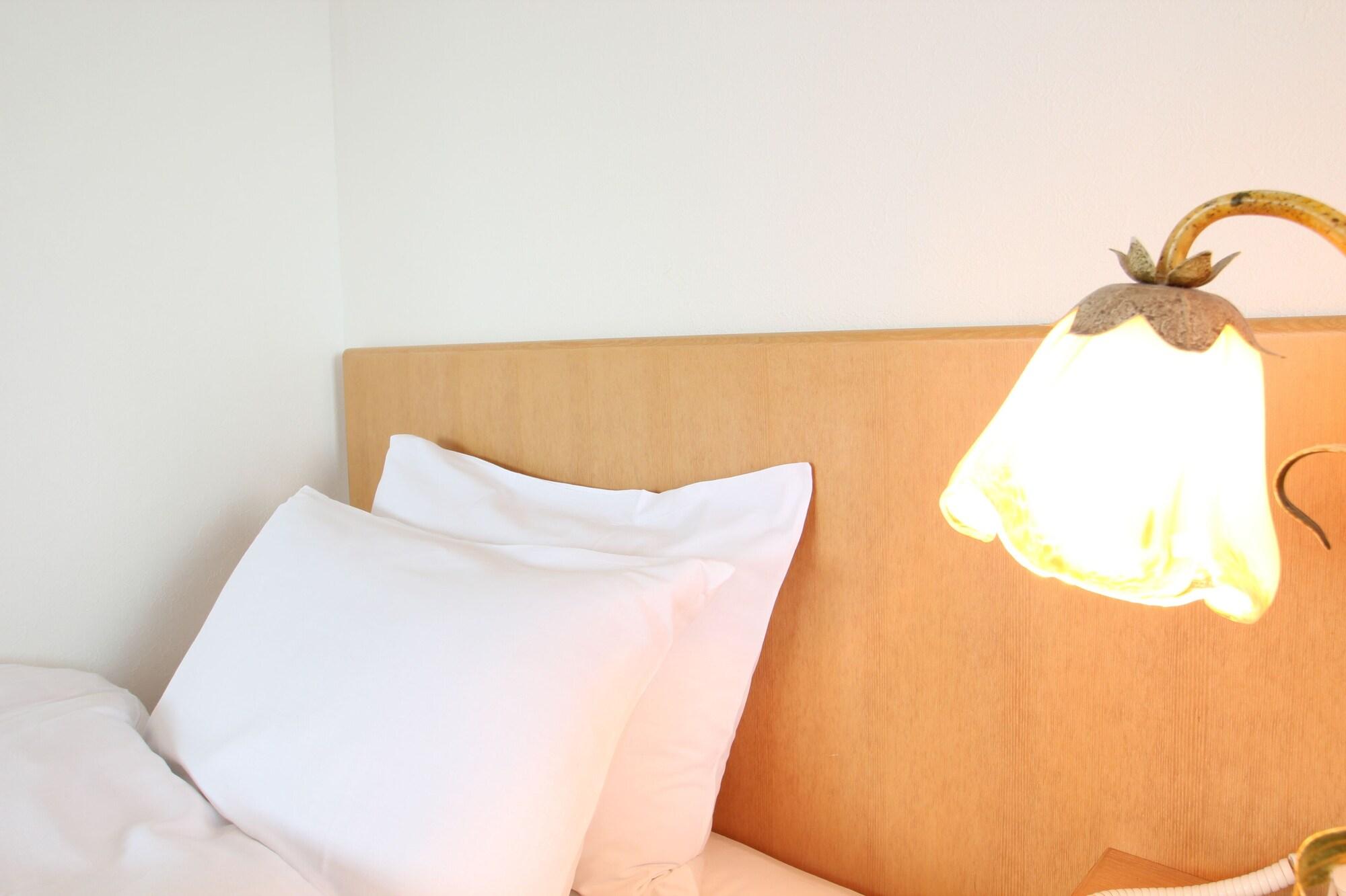 Hikone Biwako Hotel Extérieur photo